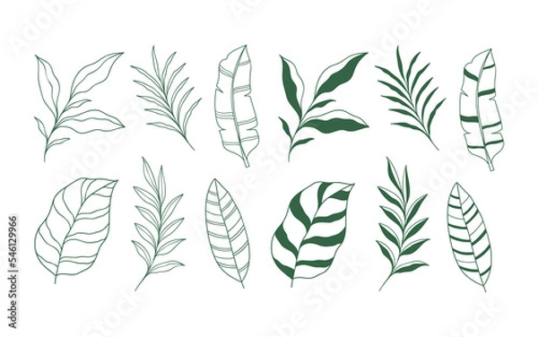 Fototapeta Set of Hand drawn tropical leaves element. Vector illustration isolated on white background
