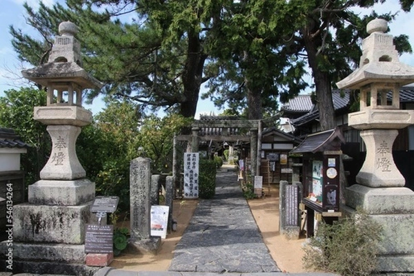 Fototapeta 金比羅社（山口県・萩市）