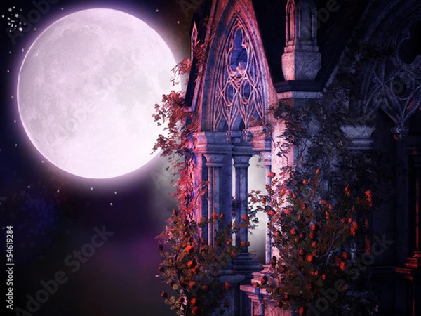 Fototapeta magiczna gotycka noc