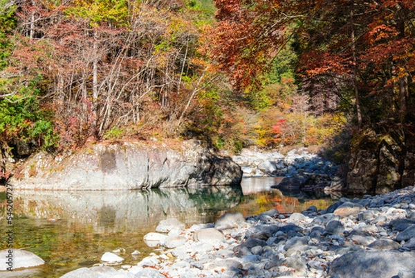 Fototapeta 秋の阿寺渓谷