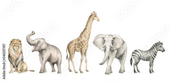 Fototapeta Akwarela z dzikimi zwierzętami Savannah. Żyrafa, słonie, lew, zebra. Śliczne safari dzikie zwierzę