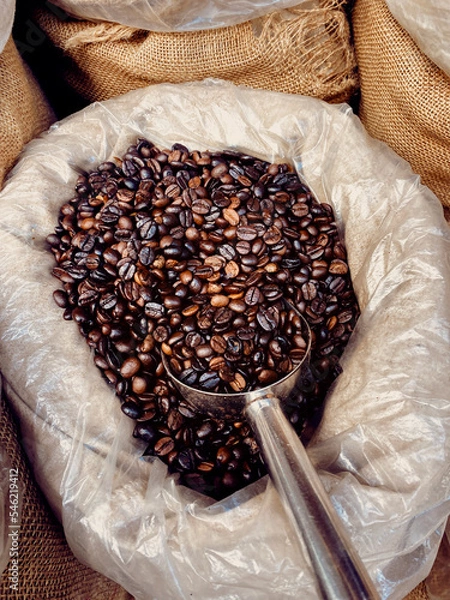 Obraz coffee beans in a sack