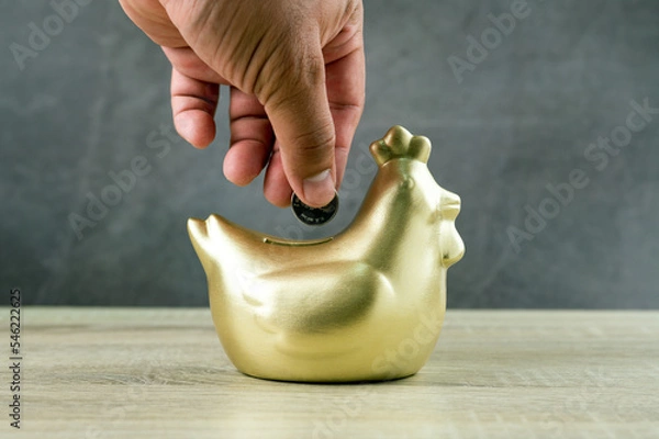 Fototapeta A man with a Thai coin carrying to chicken bank on wooden table and dark background, saving money wealth and financial concept