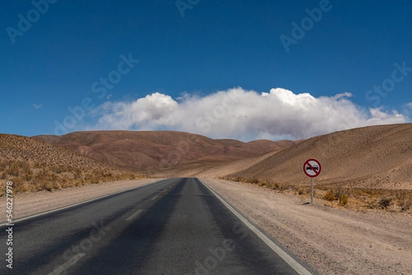 Fototapeta Travel into the unknown. Empty road in the Andes mountain range desert, on the way to Salta, Argentina.