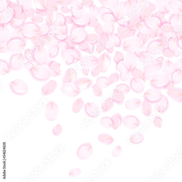 Fototapeta 桜色の花びら