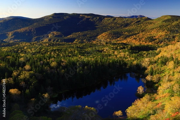 Obraz 岩手県八幡平　紅葉の熊沼