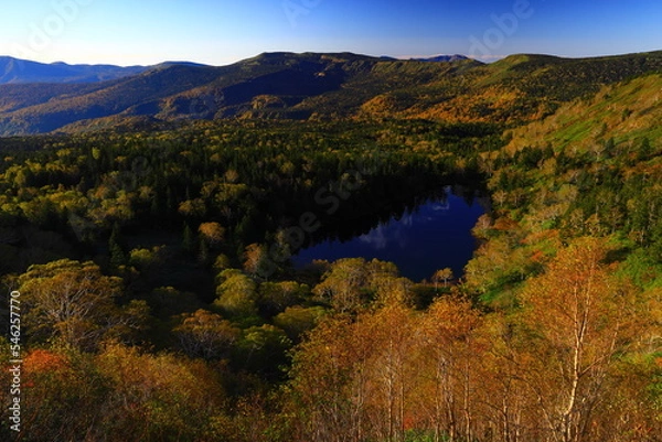 Obraz 岩手県八幡平　紅葉の熊沼