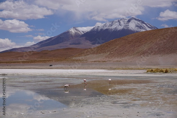 Obraz Bolivians mountains
