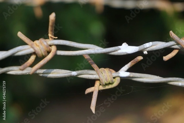 Obraz rusty barbed wire