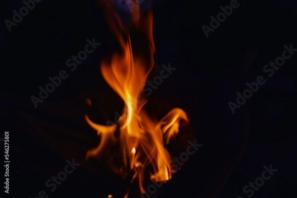 Obraz fire in the night