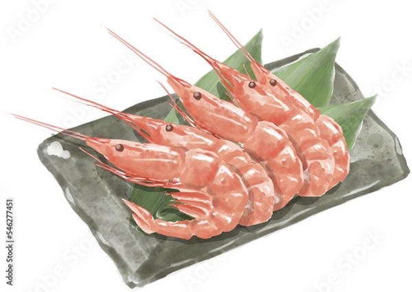 Obraz 水彩のエビ01_2