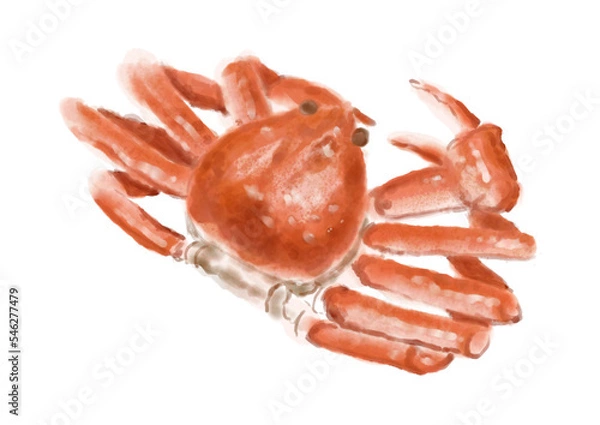 Obraz 水彩のカニ01_1