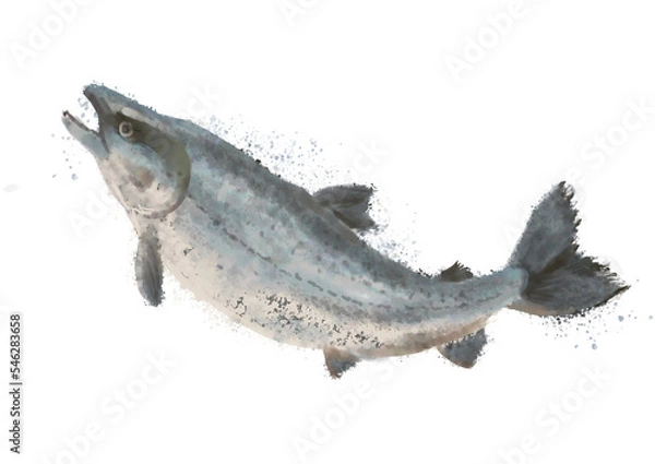 Obraz 水彩のシャケ02_2