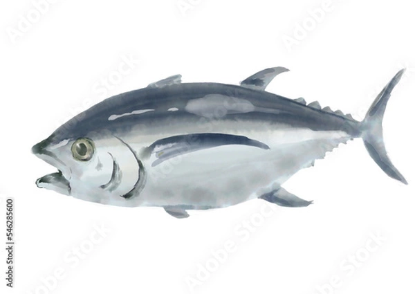 Obraz 水彩のマグロ01_1