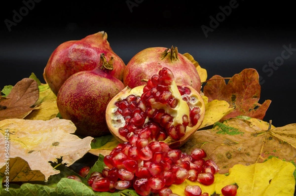 Obraz Pomegranate