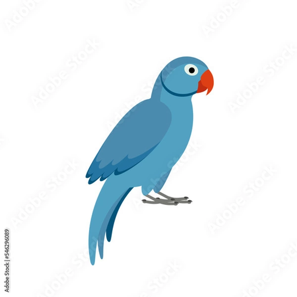 Obraz Blue parrot on white background