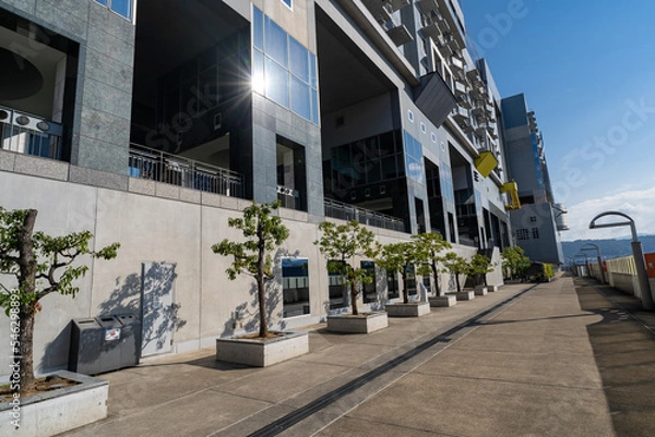 Fototapeta 京都駅