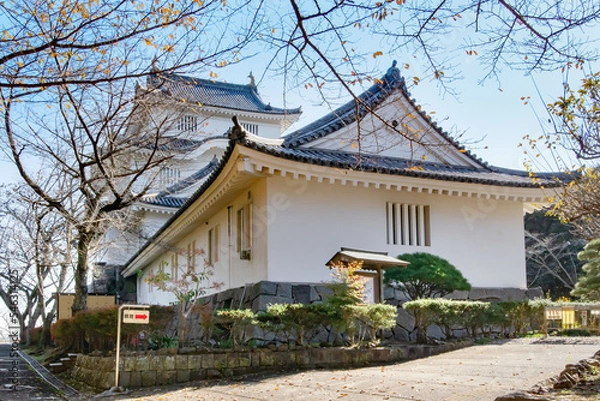Fototapeta 千葉県夷隅郡大多喜町の大多喜城