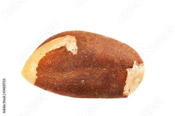 Obraz Brazil nut isolated