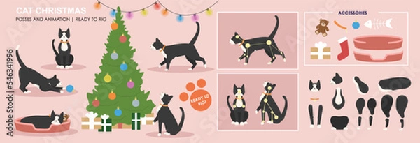 Obraz Cute Black and White cat, Christmas scene vector character with multiple poses ready to animate and rig. Xmas vectors, Christmas character. Cat, kitten holidays.