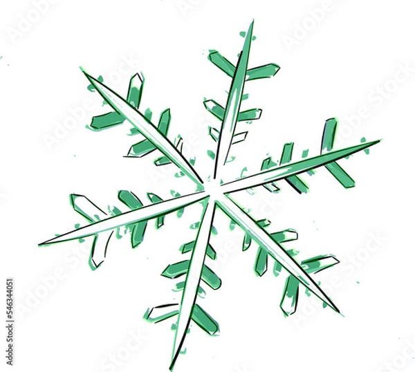 Fototapeta Snowflake 1