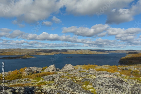 Fototapeta In autumn, tundra with a lake and trees with yellow leaves.