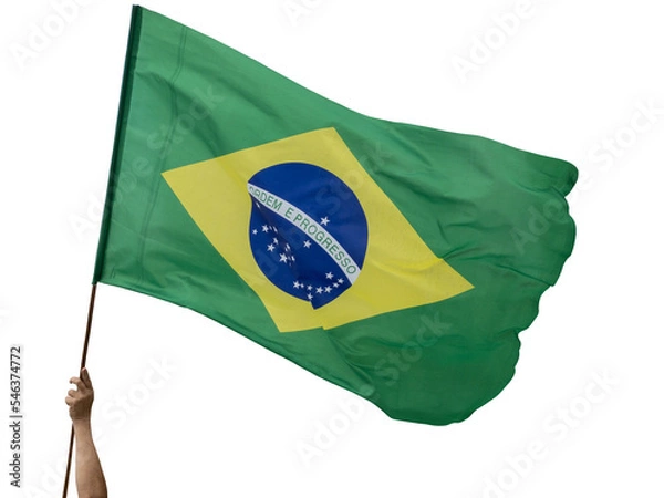 Fototapeta Person holding a Brazilian flag, in a cropped photograph, green yellow, blue and white, and written ORDER E PROGRESSO in Portuguese and cut out.