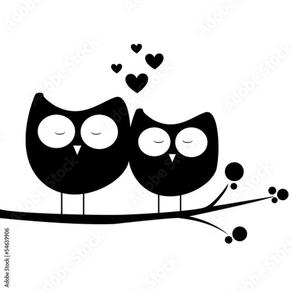 Obraz owl in love
