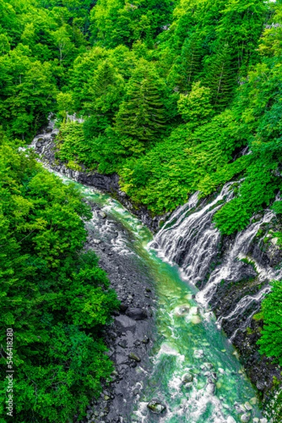 Fototapeta 白ひげの滝（北海道美瑛町）