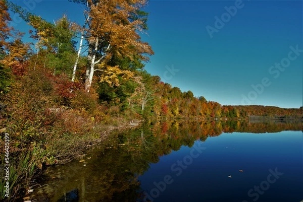 Fototapeta The beautiful landscapes of Muskoka, Ontario, Canada during Fall season, full of colorful autumn colors all over the place