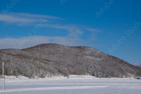 Obraz 北海道の冬の森林
