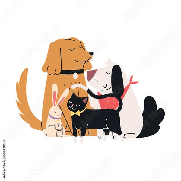 Fototapeta pets animals isolated