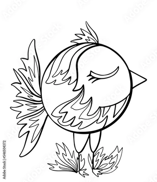 Obraz bird doodle coloring book for children graphic sketch isolated on white background sparrow with patterns stylized illustration vector hand drawn