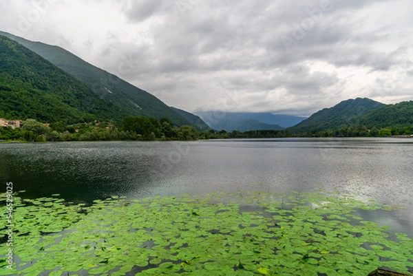 Fototapeta A lake next to a forrest hill in lago di lago, Italy with lily  pads