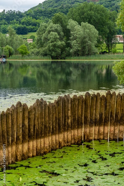 Fototapeta A lake next to a forrest hill in lago di lago, Italy with lily  pads
