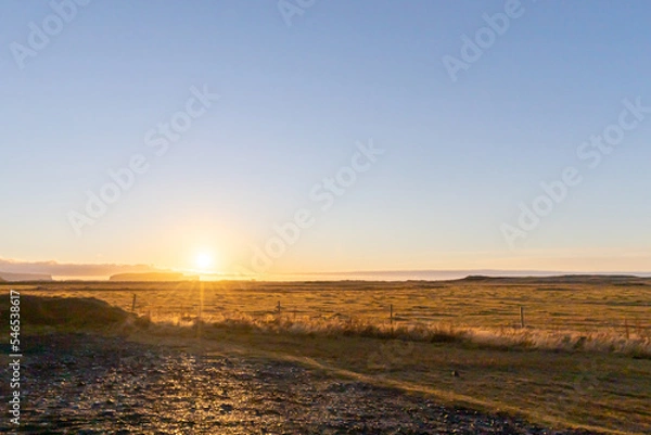 Obraz Sunset over a yellow field