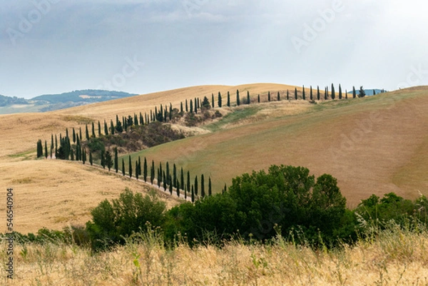 Fototapeta Italian landscape along via Francigena, between San Quirico d'Orcia and Radicofani, Tuscany, June 2022