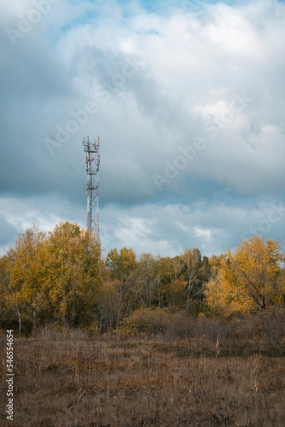 Fototapeta A metal radio tower towers over the autumn yellow trees. Blue sky. Autumn landscape. Beautiful shot of autumn forest and the broadcast antenna at the top of the hill during peak fall colors.