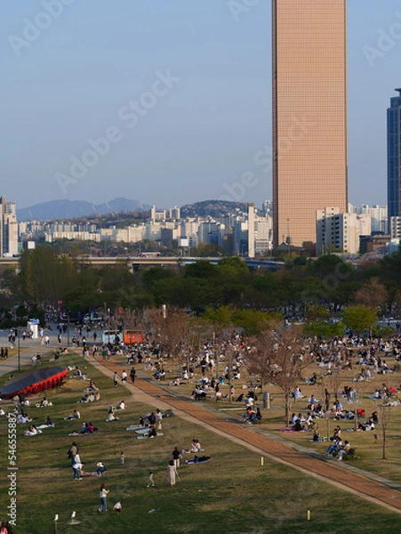 Fototapeta 여의도 한강 공원