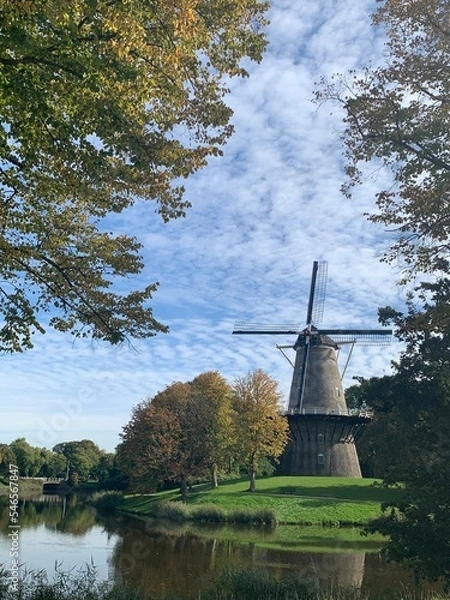 Obraz windmill