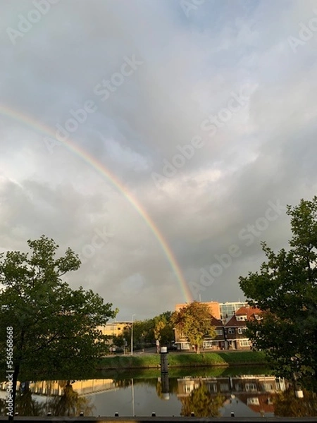 Obraz rainbow over the river