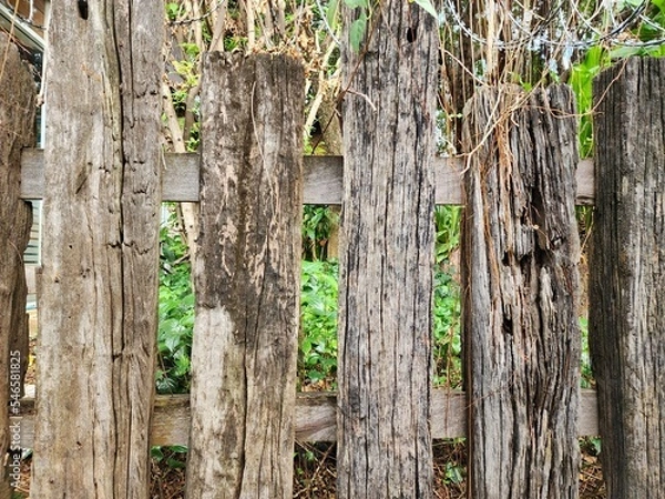 Fototapeta The fence is made of old wood that has passed the time giving it a classic look.