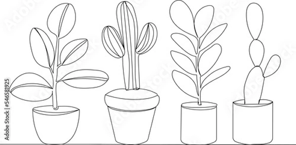 Fototapeta plants in pots continuous line drawing, vector