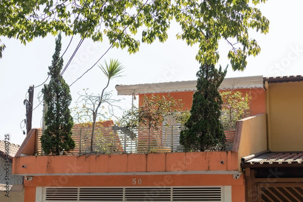 Fototapeta Small House terrace garden