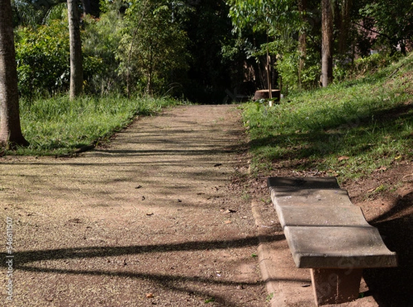 Obraz Dirt path on a park