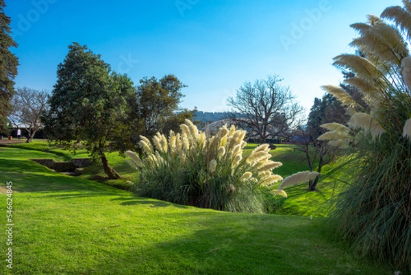 Obraz Jardin relajante 