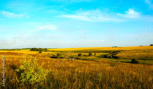Obraz Summer sunset landscape with golden wheat fields