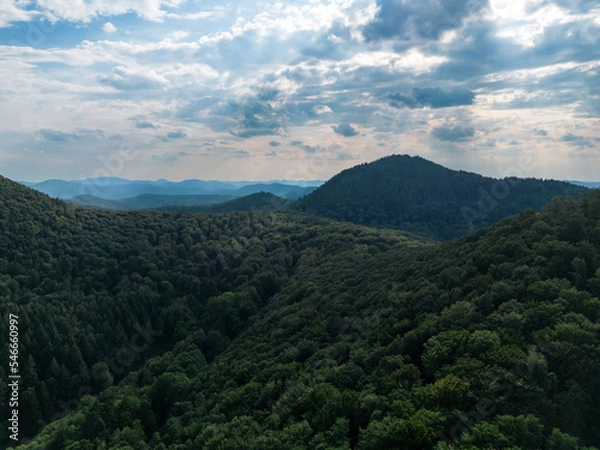 Obraz Drone shot of the palatine forest with a colorfull sky