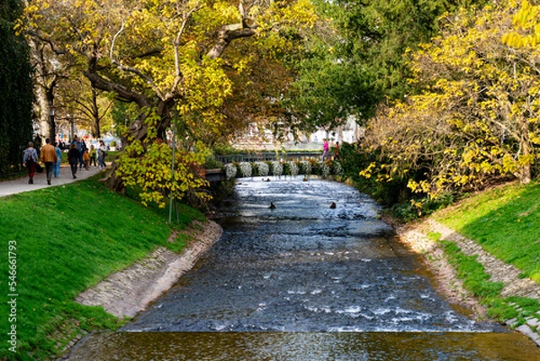 Obraz Small Bridge over a canal in a park with trees and flowers