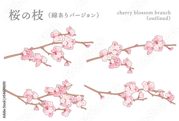 Obraz 繊細なさくらの枝のベクターイラスト セット  外側にアウトライン付き